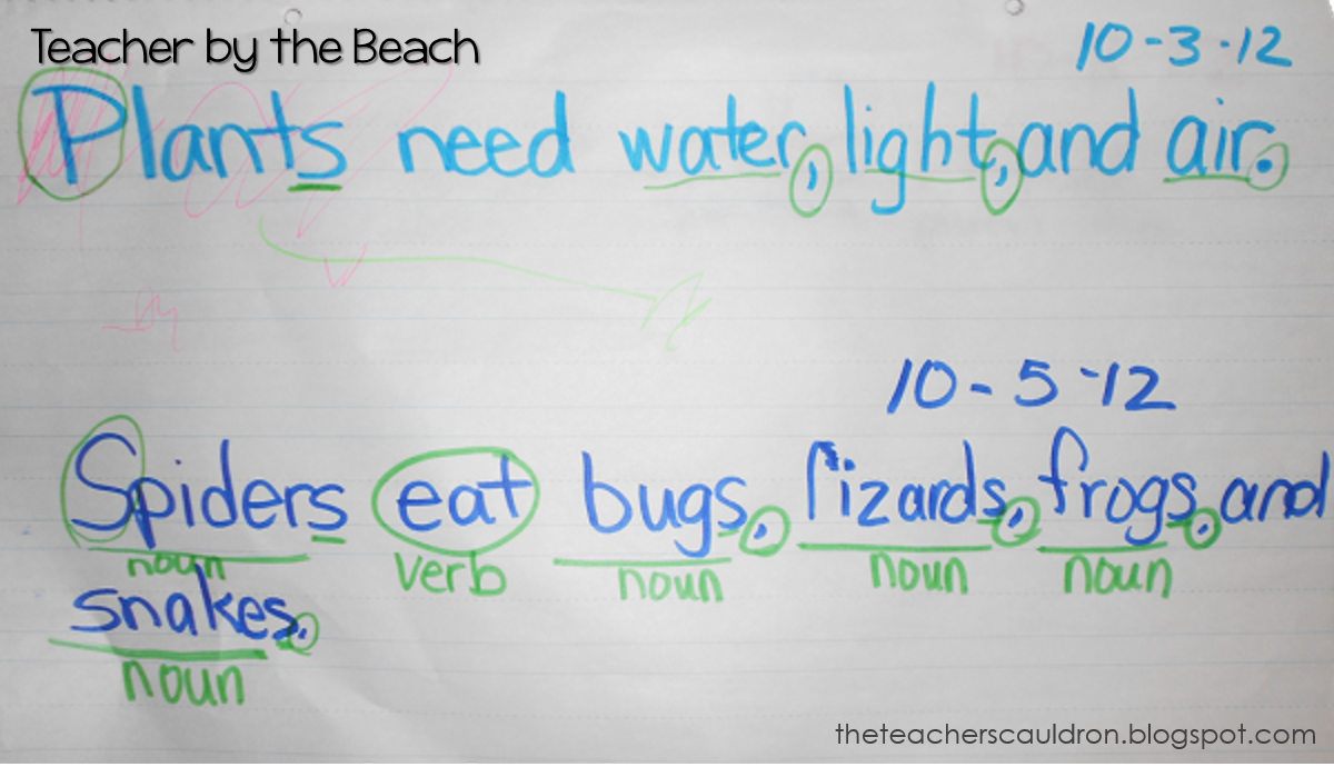 Sentence Imitation For Any Grade Teacher By The Beach
