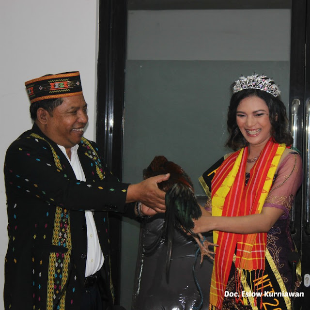 Pemkab Manggarai Timur Terima Putri Pariwisata NTT 2017 1 Agas Andreas dan Ireni Alexandria Garu