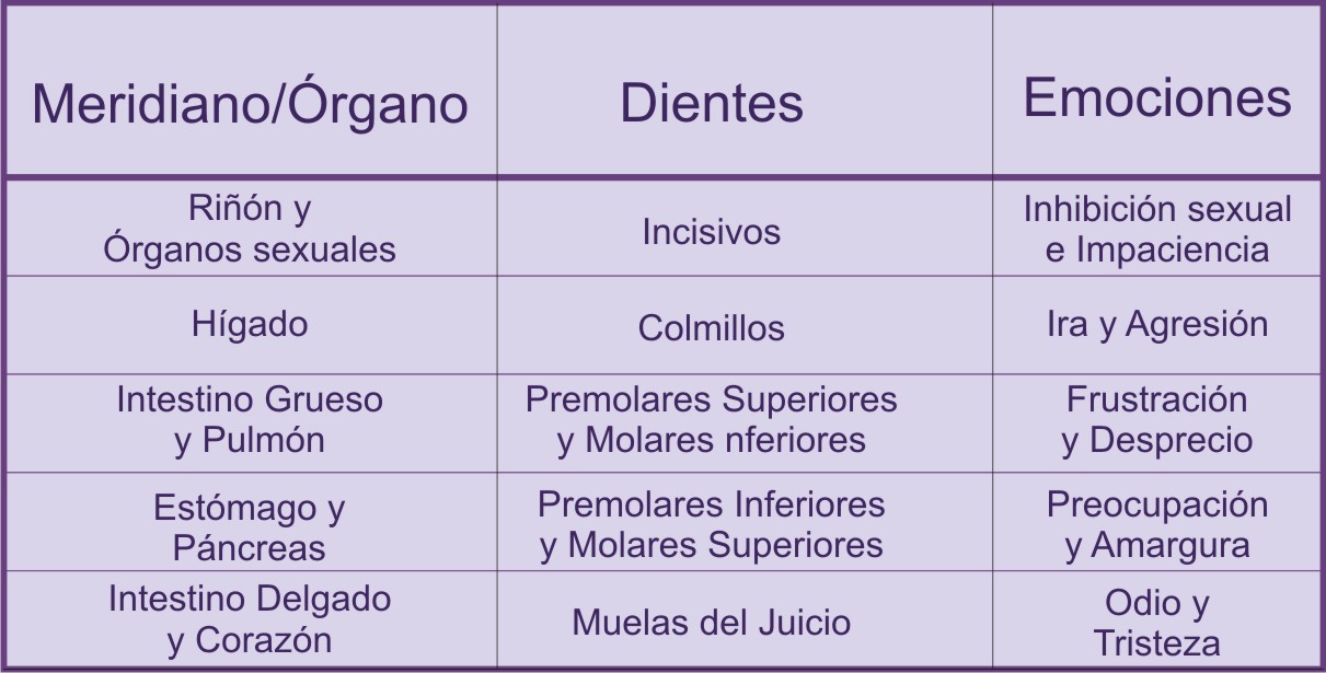 Dentista Holistico Madrid : Dentista Madrid, Estamos Situados A 500 Metro Del Intercambiador De Moncloa, Al Lado Del Metro De Arguelles.tenemos Especialistas En Todas Las Ramas De La Odontologia, Endodoncia, Implantes.