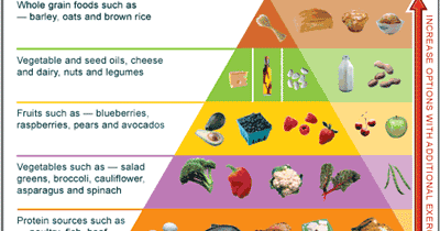 Atkins Diet Induction: Atkins Diet Induction Food List