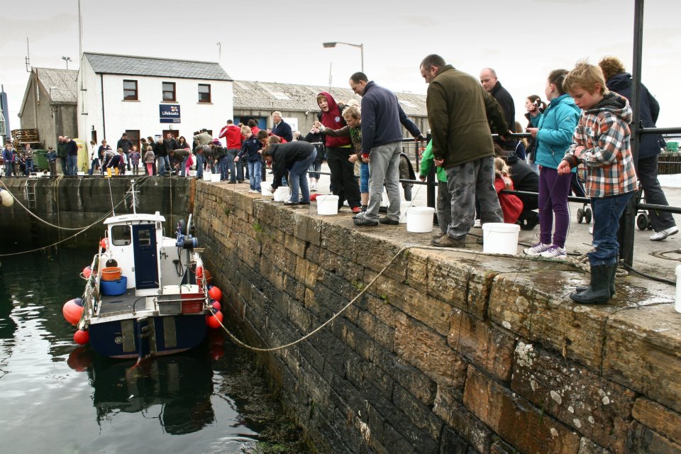 Stromness Library: Crabbing Championship - the result!