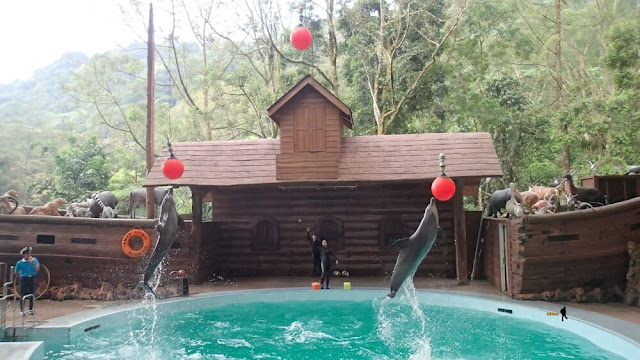Safari Lodge Caravan dan Bermain di Taman Safari Indonesia Masih tentang cerita menginap di Safari Lodge Caravan dan Taman Safari Indonesia