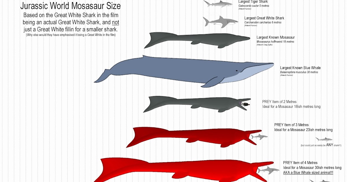 art evolved lifes time capsule jurassic world mosasaur update mosasaurus size