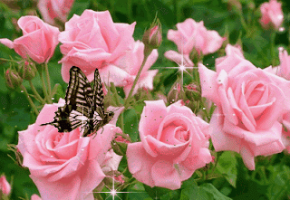Image result for pink roses animated