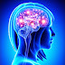 4 zbulime në Neuroshkencë që ripërkufizojnë Lumturinë