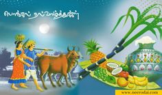 happy pongal