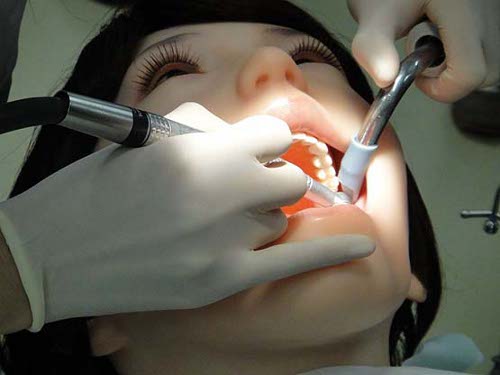 500px x 375px - THE JAPANESE HAVE CREATED A HUMANOID DENTAL DOLL Made From ...