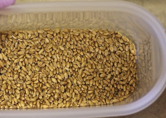 Whole grain waiting to be milled on www.anyonita-nibbles.com