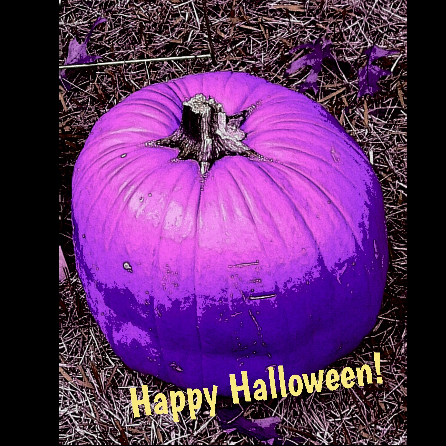 Maravick KNOWS Happy Halloween + Old Mill Harvest Festival Revisited!