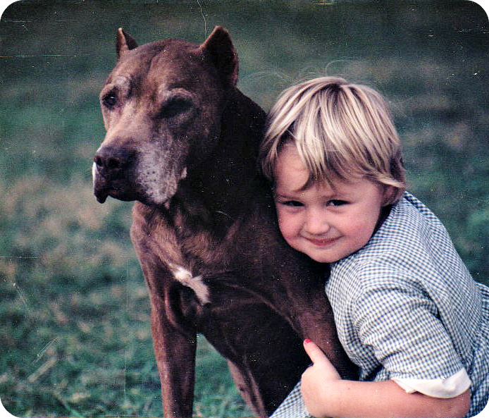 The Specials: Adopting a Rescue Dog Adopting a rescued senior pitbull