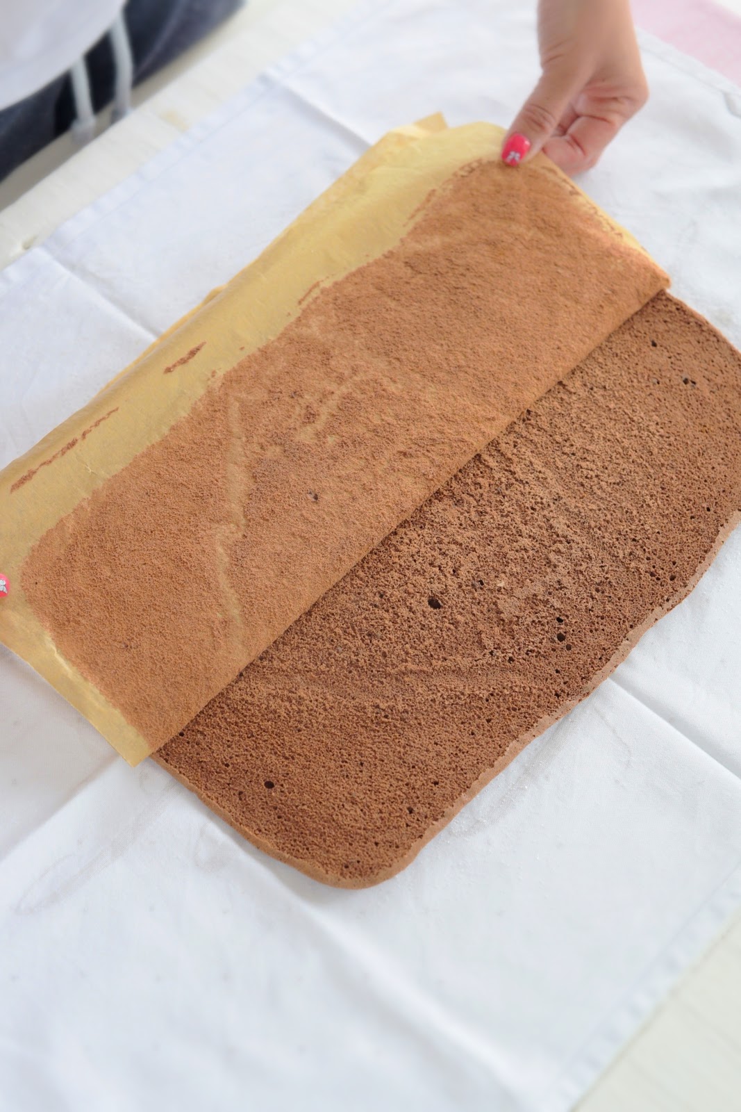 Kessy&amp;#39;s Pink Sugar: Veilchen Brombeer Biskuitrolle