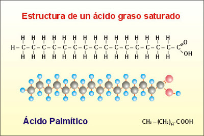 Estructura del ácido palmítico