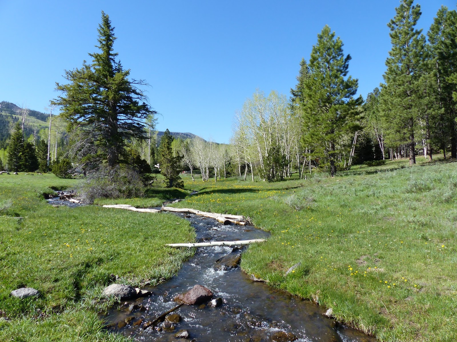 Land Cruising Adventure Camping near Yankee Meadows Campground Dixie