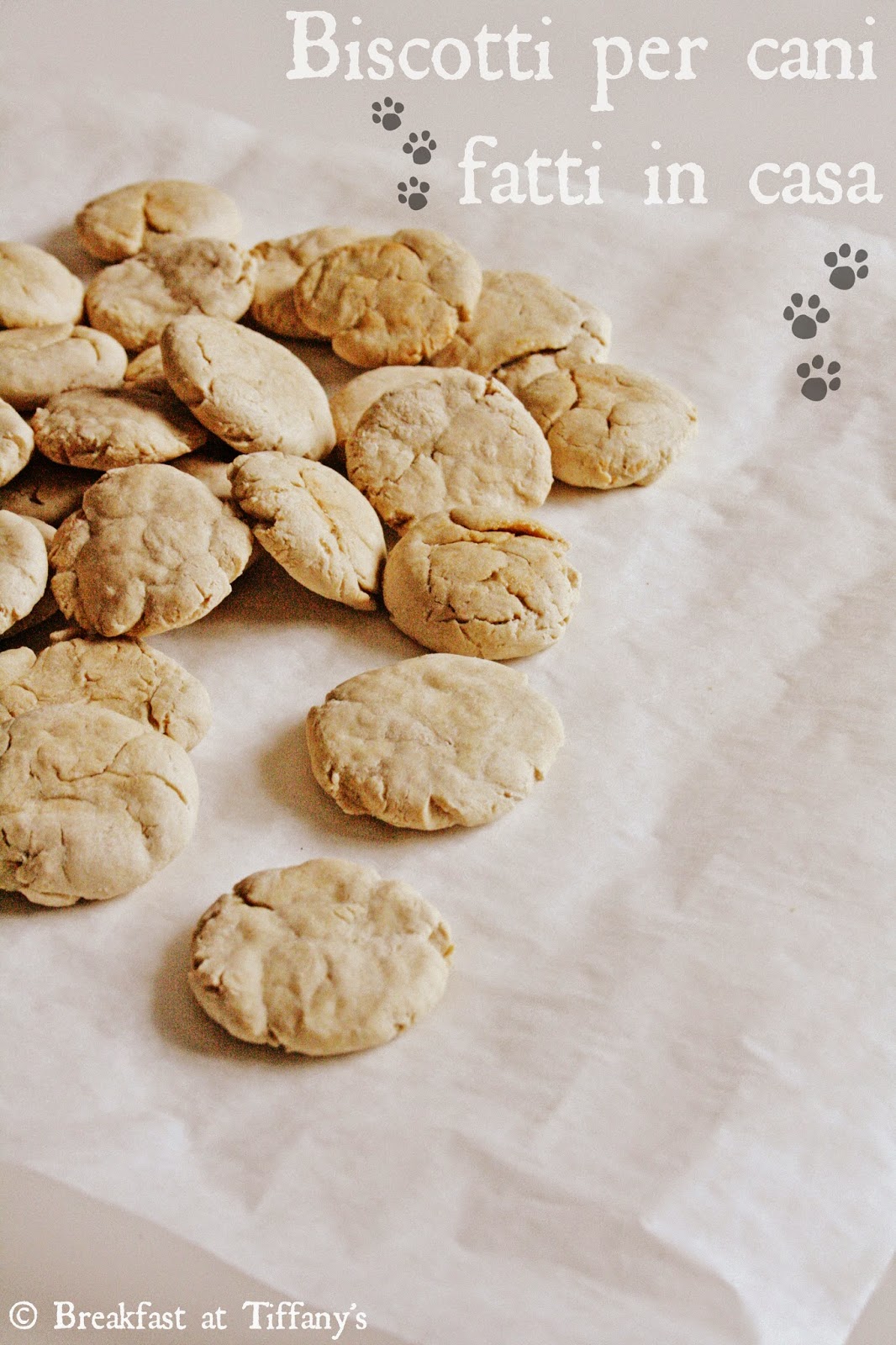 Biscotti per cane fatti in casa