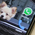 SE VOCÊ NÃO QUER O WHATSAPP ENVIE SEUS DADOS PARA O FACEBOOK, PRECISA CORRER
