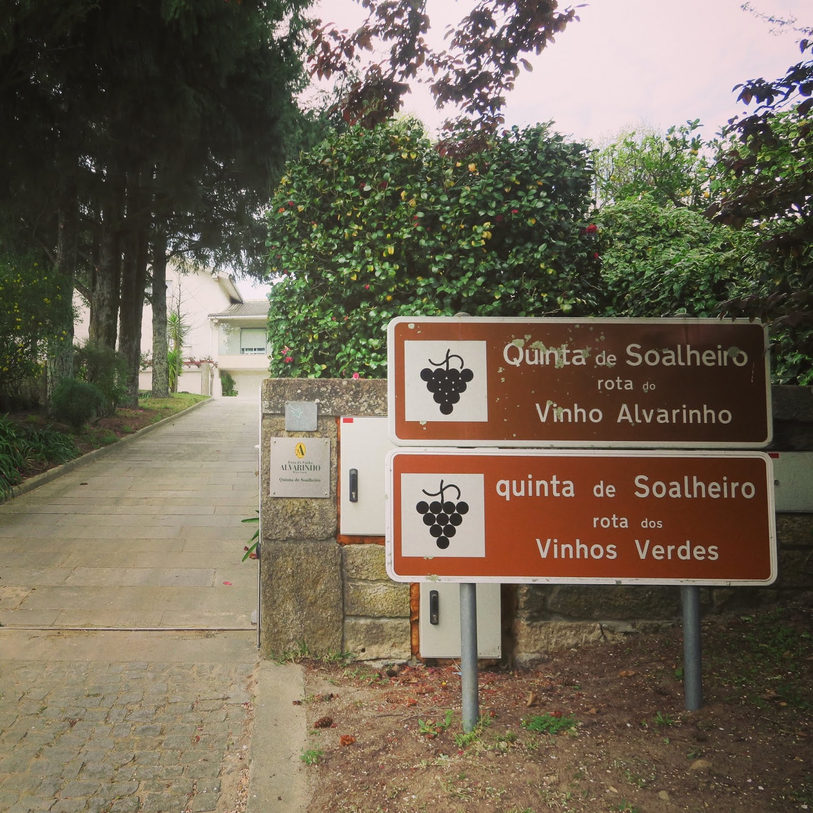 Visita à Quinta de Soalheiro