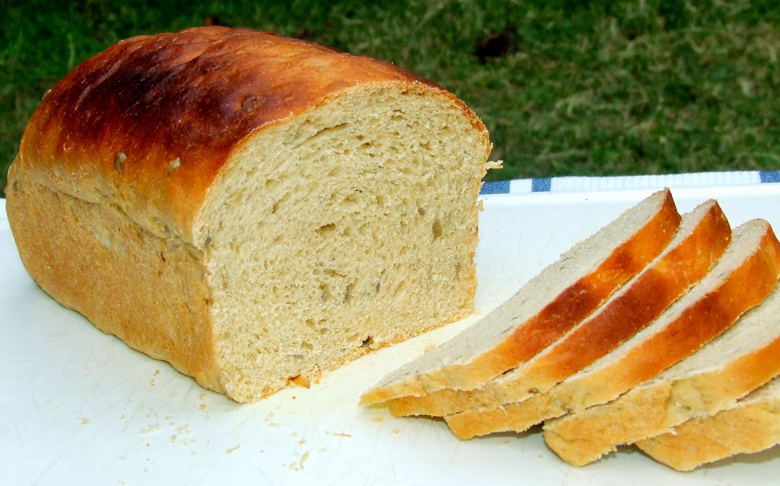 Whole Wheat Sunflower Seed Bread Ambrosia