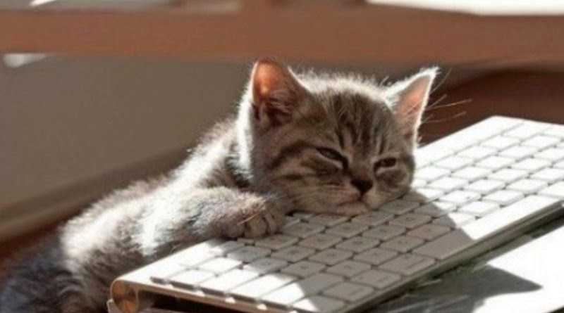 經常熬夜會變傻 睡眠不足會變笨