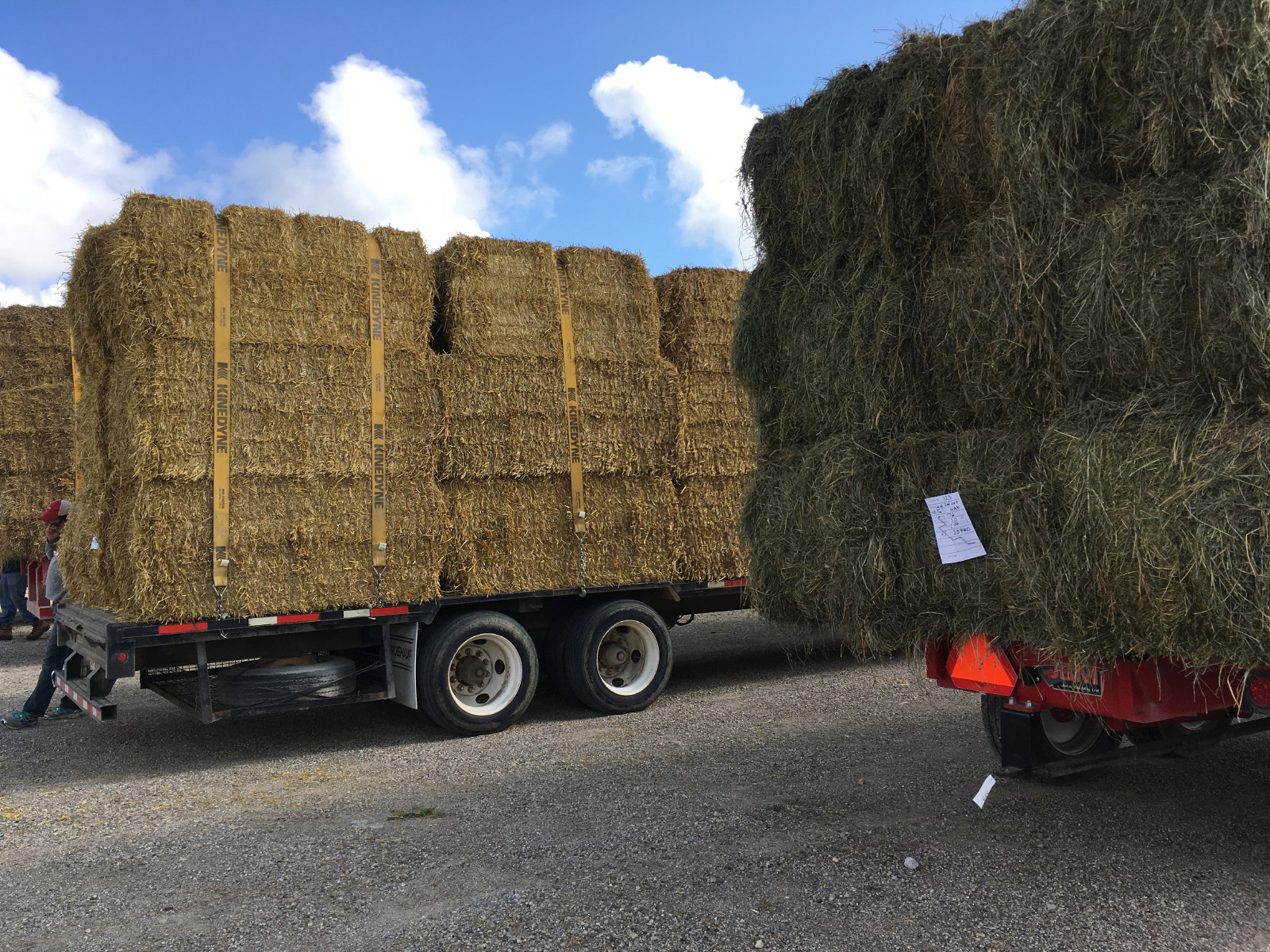 Anja's Photo Journal Elmira Hay Auction