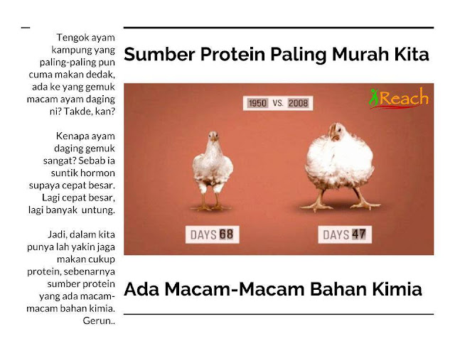 Image result for semua supplement auta