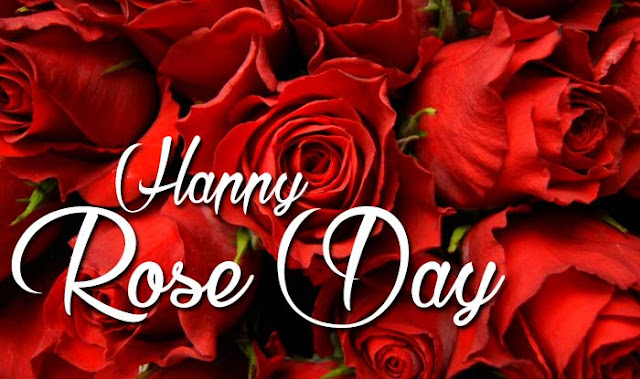 Happy rose day images Happy rose day images