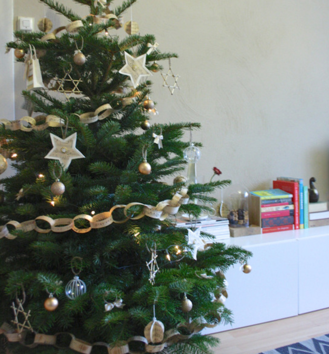 classic with a twist how to care for fresh christmas classic with a twist how to care for fresh christmas