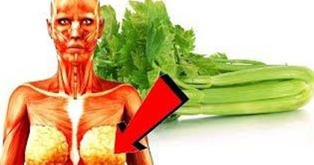 10 Extraordinary And Amazing Reasons Why should Start eating Celery at