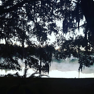 Mists hovering over the pond behind our house at Cypress Lakes. This is frequent in the early morning.