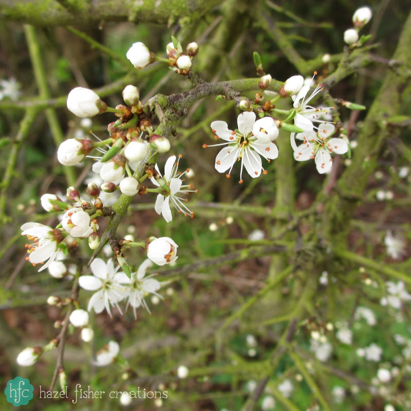 Things I Love About Spring, blossom -hazelfishercreations Things I Love About Spring, blossom -hazelfishercreations