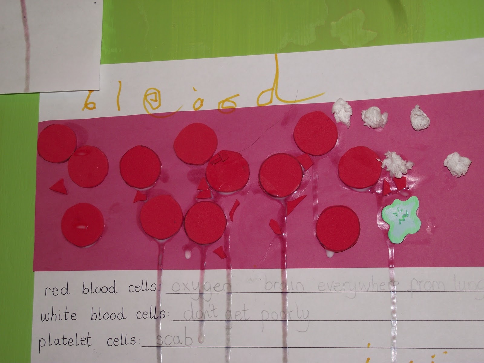 &: White blood cells go 'rah, rah, rah!'