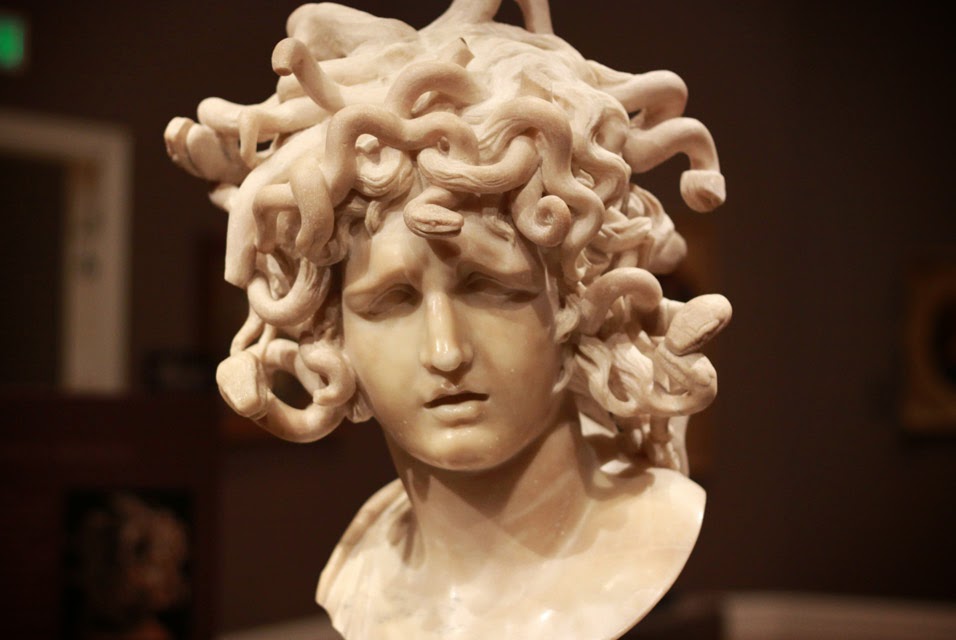 Resultado de imagem para foto de medusa