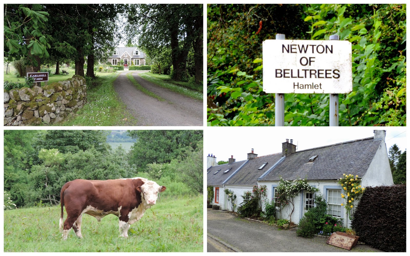 The Glebe Blog Wigtownshire Ramblers Summer Solstice away day to