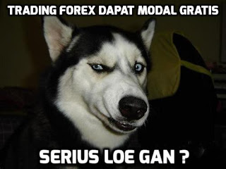 Trading Forex Dapat Modal Gratis