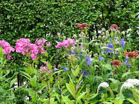 Summer blooms by garden muses-not another Toronto gardening blog