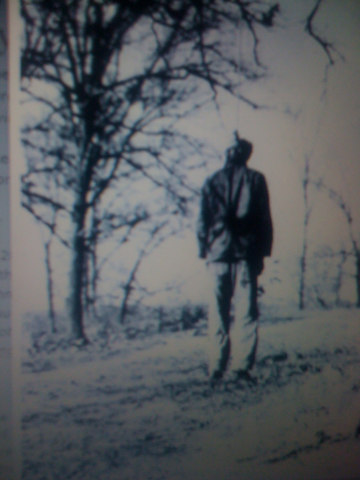 THE BLACK SOCIAL HISTORY:: BLACK SOCIAL HISTORY: THE LYNCHING OF BLACK ...