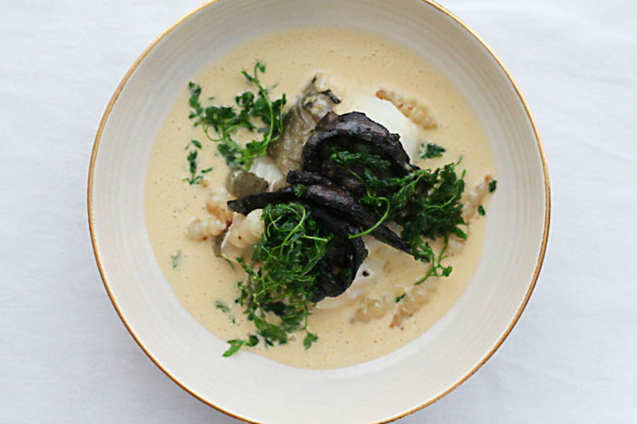 Auf der Haut gebratener Rücken vom Kabeljau, gebratene Blutwurst, Knollenziest (auch bekannt als Crosne, Stachy und japanische Artischocke) mit frittiertem Kerbel und Beurre Blanc mit Rotwein! Heute: MAS D'AUZIERES "SYMPATHIE POUR LES STONES" COTEAUX DU LANGUEDOC AOC | Arthurs Tochter – Der Blog für Food, Wine, Travel & Love Auf der Haut gebratener Rücken vom Kabeljau, gebratene Blutwurst, Knollenziest (auch bekannt als Crosne, Stachy und japanische Artischocke) mit frittiertem Kerbel und Beurre Blanc mit Rotwein! Heute: MAS D'AUZIERES "SYMPATHIE POUR LES STONES" COTEAUX DU LANGUEDOC AOC | Arthurs Tochter – Der Blog für Food, Wine, Travel & Love