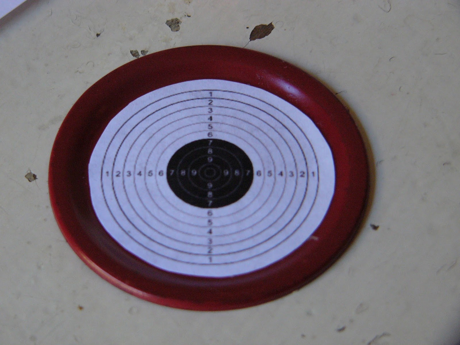 TARGET ORNAMENT GIFTS Salt Lick Shop