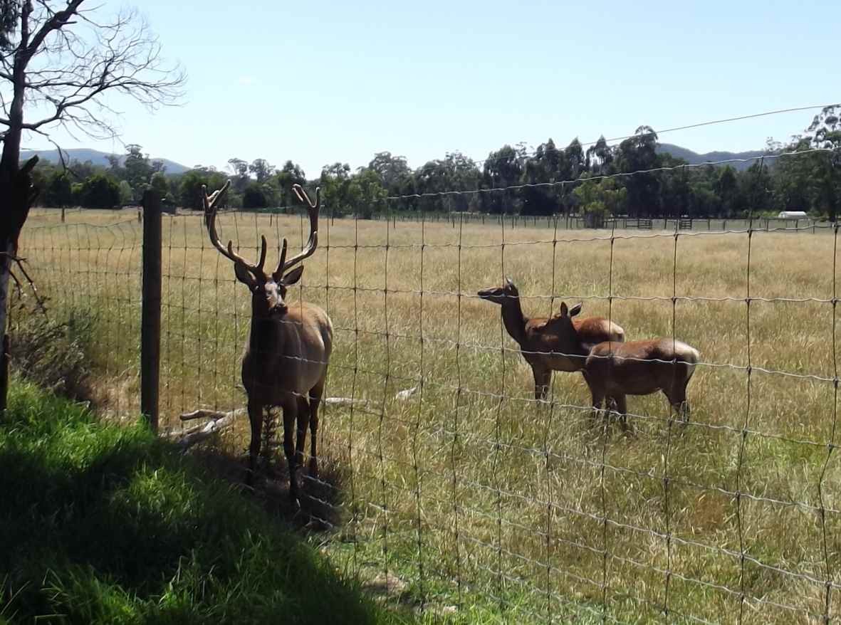 TRACKS, TRAILS AND COASTS NEAR MELBOURNE Warburton Rail Trail Launching Place