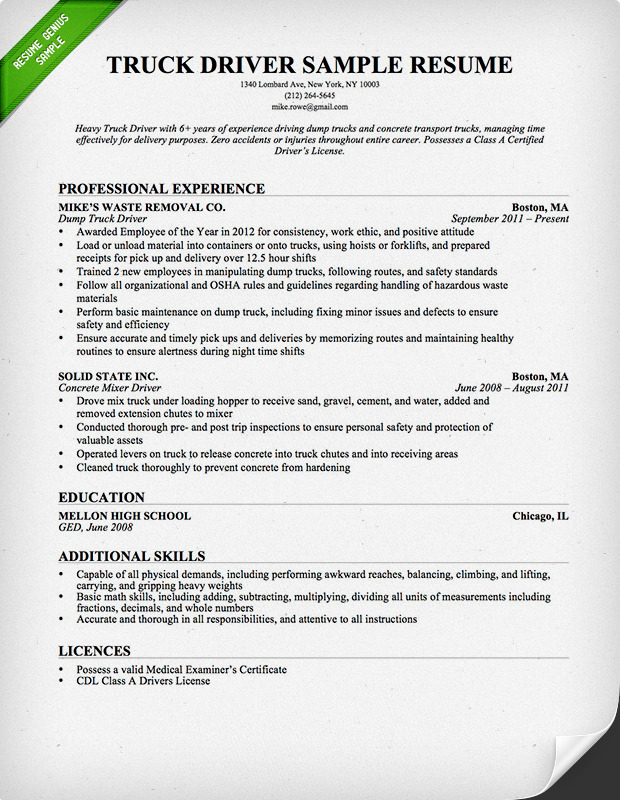 resume template for professional driver