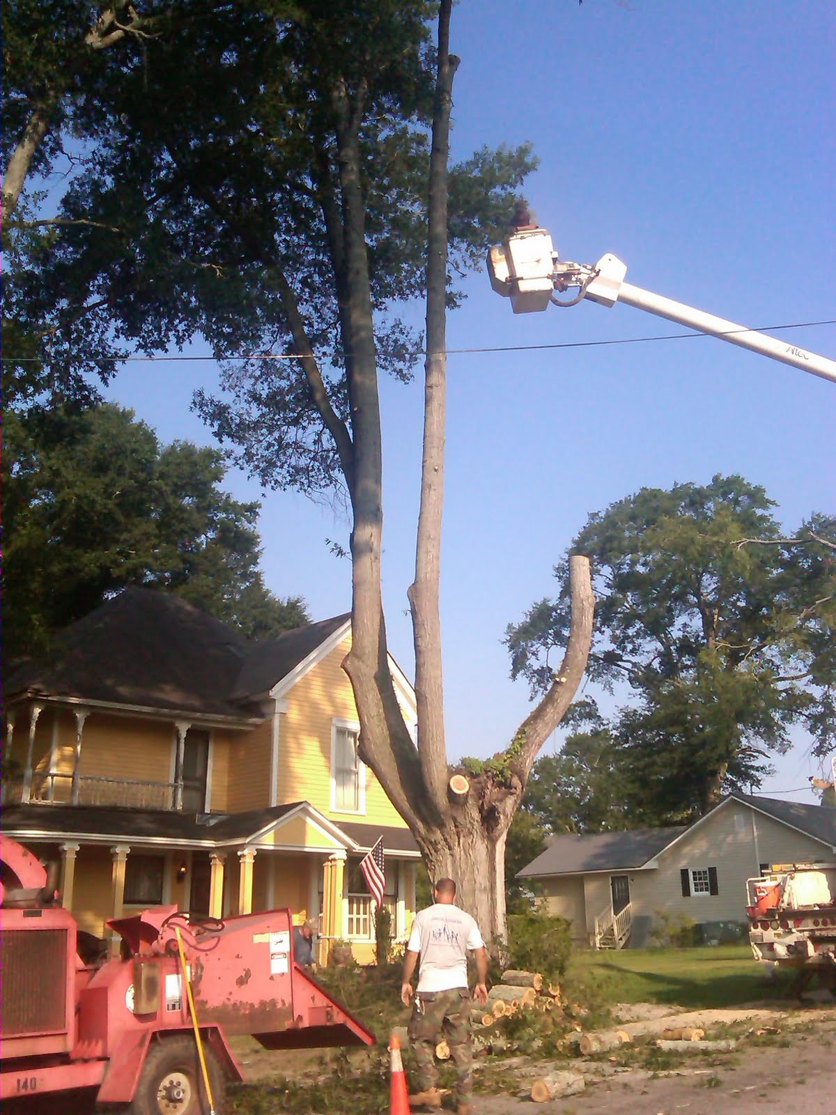 House Oak Tree Removal