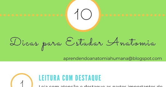 Como estudar anatomia Como estudar anatomia