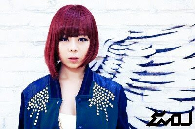 Kpop Profile Brasil: EVOL