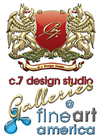 C.7 Design Galleries
