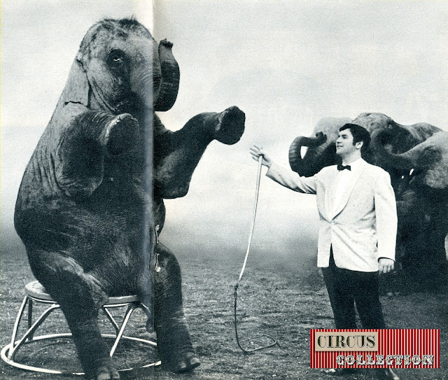 Louis Knie senior et les éléphants du Cirque Knie