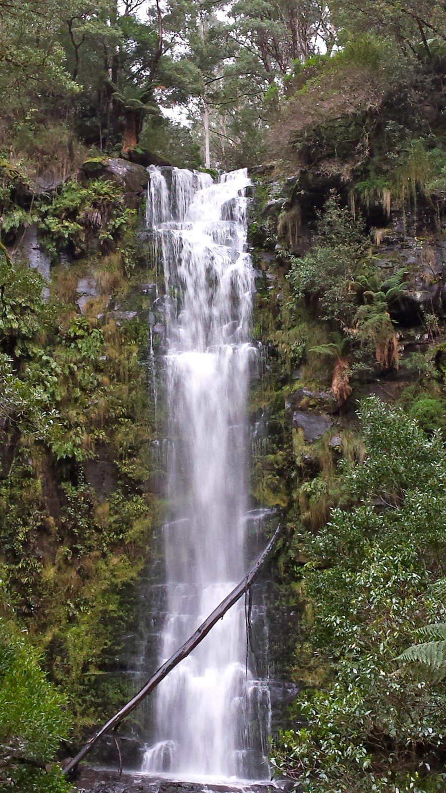 RDO Melbourne Erskine Falls, Lorne RDO Melbourne Erskine Falls, Lorne