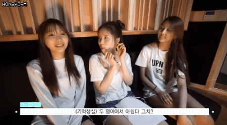 5.gif