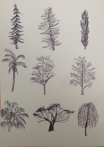 Details 116+ different types of trees drawing super hot - seven.edu.vn
