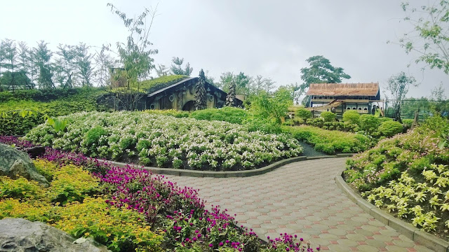 Banyak taman bunga Farm House Susu Lembang yang indah Banyak taman bunga Farm House Susu Lembang yang indah