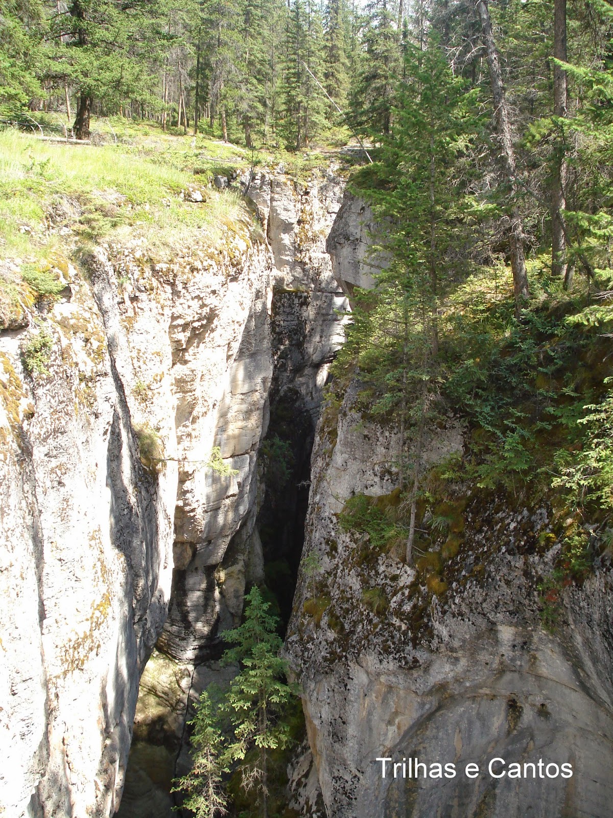 Maligne Cannyon