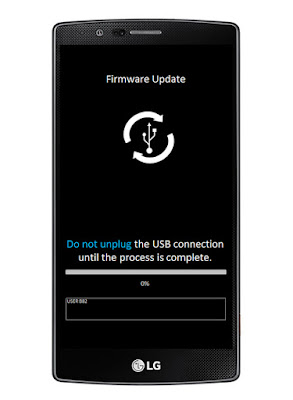  firmware-update-lg